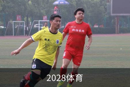 走进2028体育